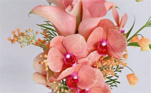 2026年10月11日领证吉日查询 今日登记领证好不好