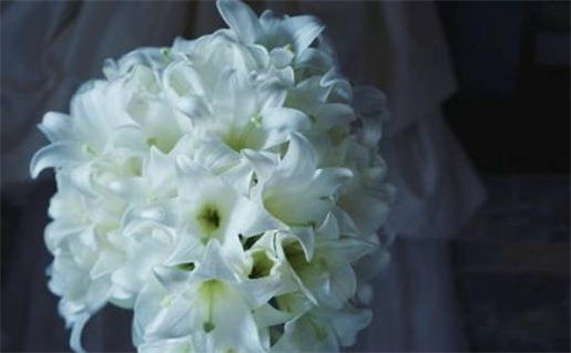 2024年11月01日结婚好不好 今日办婚礼好吗