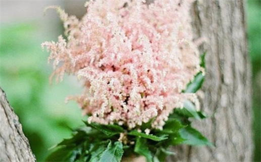 2024年09月29日领证好吗 宜登记领证吉日查询 2024年09月29日领证好吗 宜登记领证吉日查询