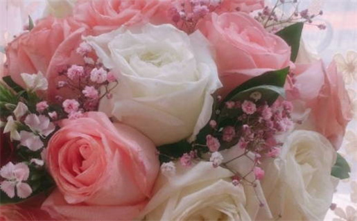 2024年农历九月初八领证吉日查询 宜领证吉日查询 2024年农历九月初八领证吉日查询 宜领证吉日查询