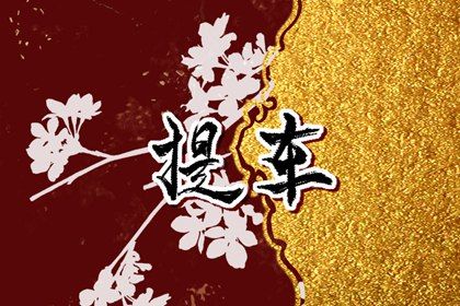 2024年12月29日是提车好日子吗 宜买新车吉日查询